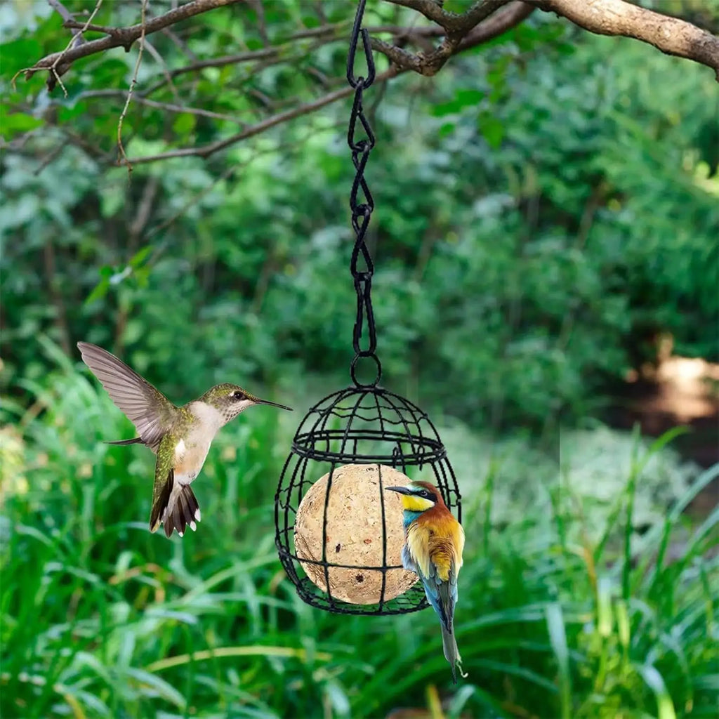 Hanging Metal Suet Ball Bird Feeder – Garden Wild Bird Feeder Suet Ball Bird Feeder Babs