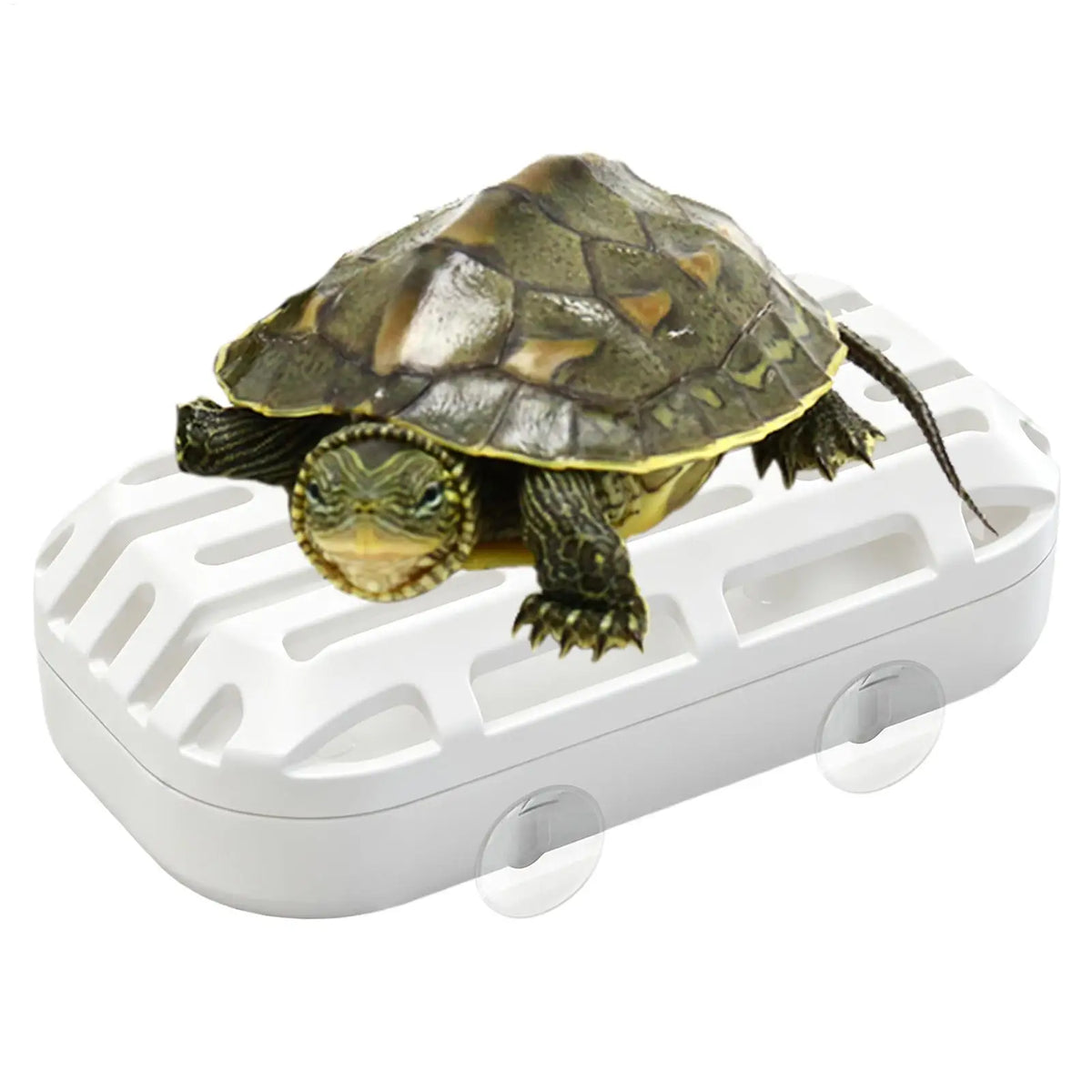 Turtle Tank Waste Collector – Suction Cup Reptile Toilet Reptile Tank Accessory Babs