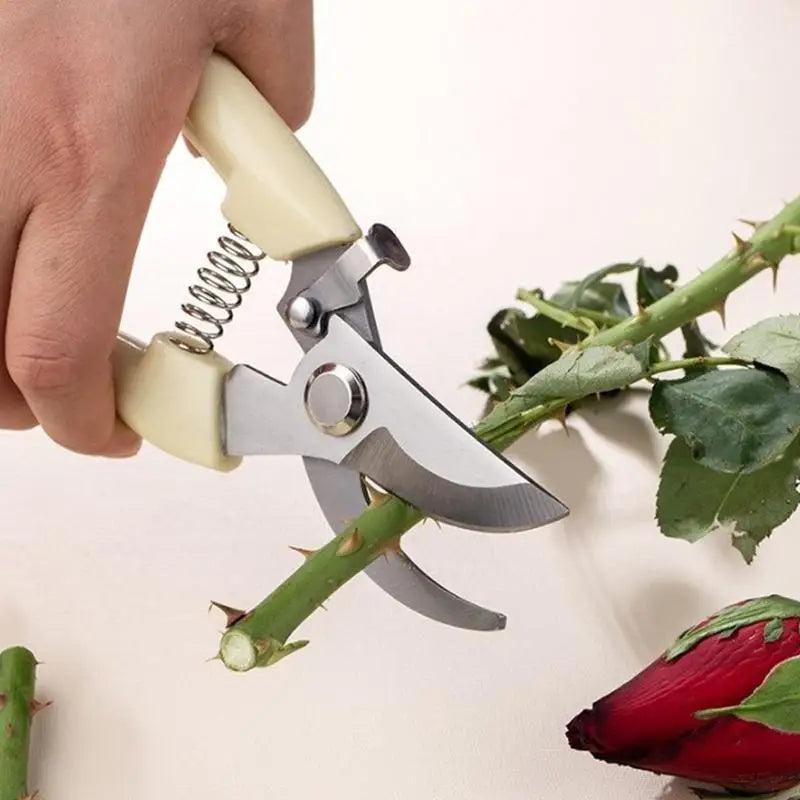 Professional Pruning Shears – Stainless Steel Garden Scissors Pruning Shears Babs