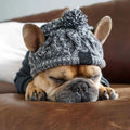Winter Windproof Knit Dog Hat – French Bulldog & Chihuahua Dog Winter Hat Babs L 50-60cm