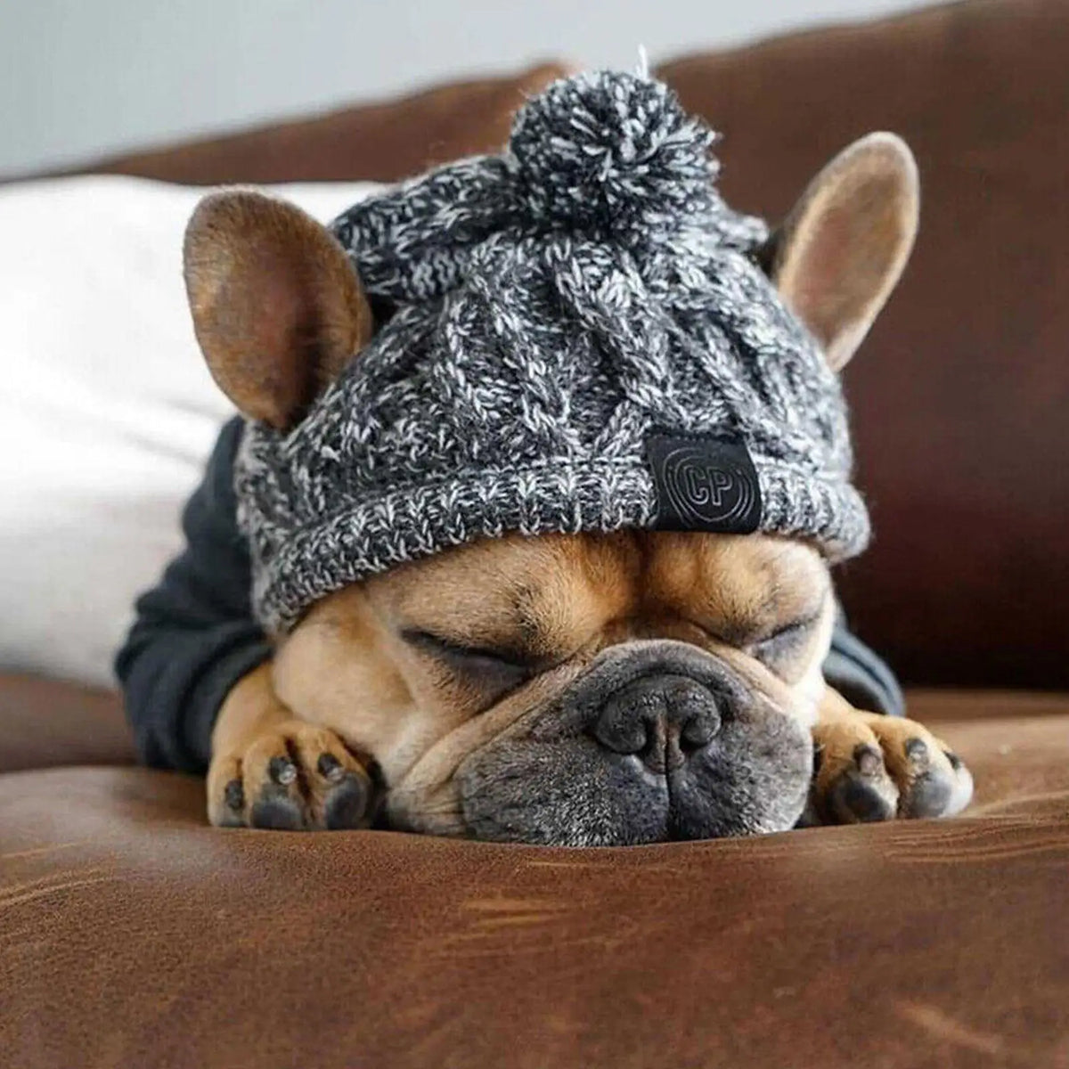 Winter Windproof Knit Dog Hat – French Bulldog & Chihuahua Dog Winter Hat Babs L 50-60cm