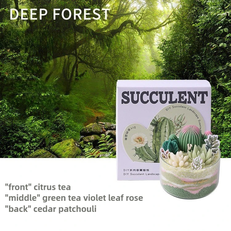 Soy Wax Aromatherapy Candle – Succulent Cactus Scented Décor Aromatherapy Candle Babs Forest