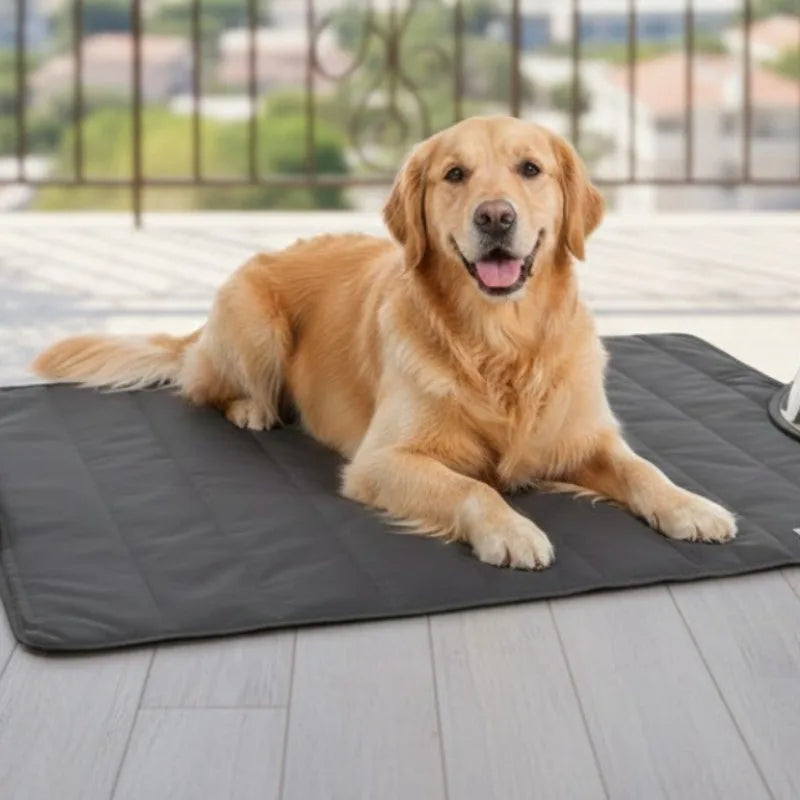 Waterproof Foldable Dog Pet Blanket – All-Season Travel Mat Pet Blanket Mat Babs
