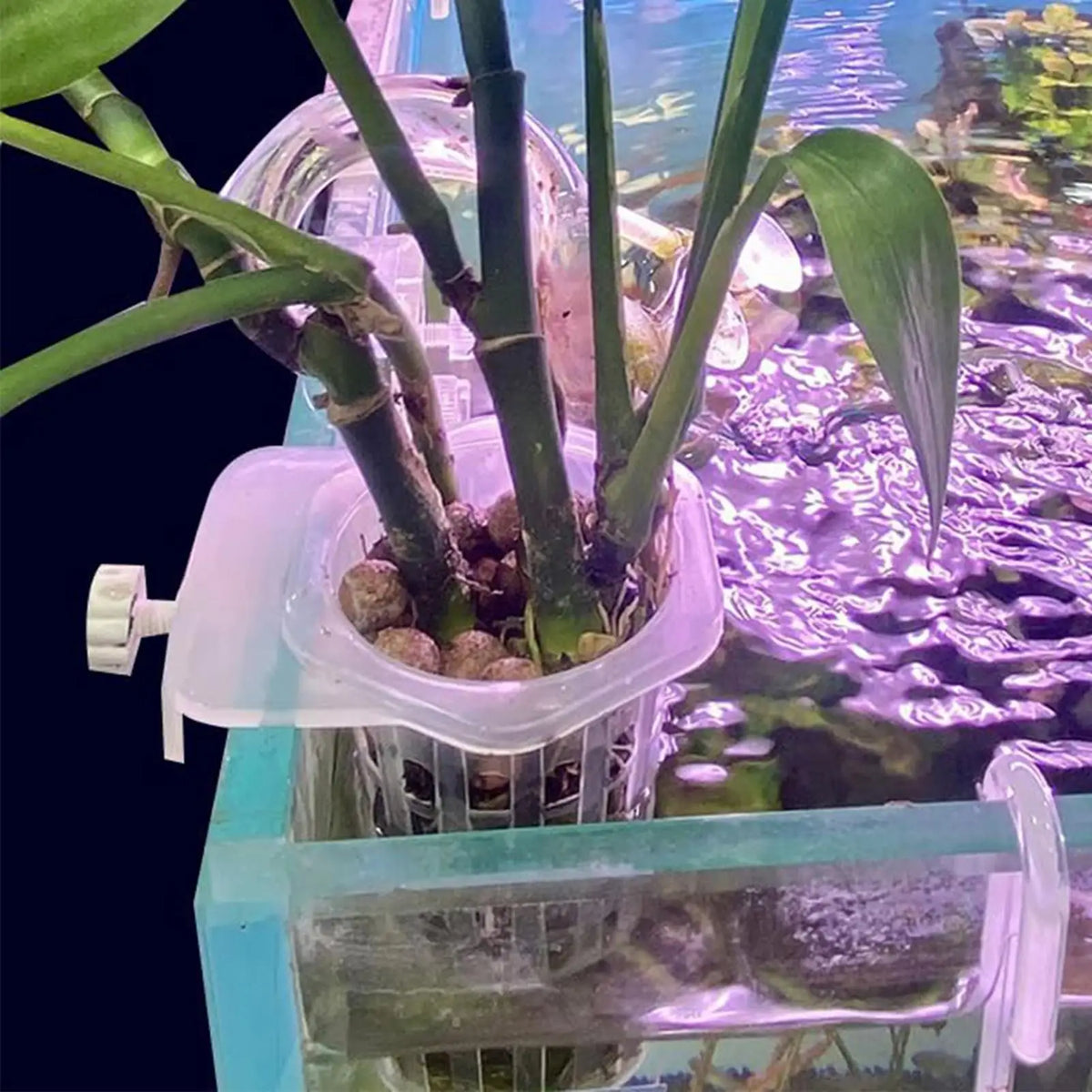 2pcs Aquarium Plant Holder Cups – Hydroponic Hanging Baskets Aquarium Plant Holder Babs