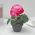 Silk Rose Bonsai Artificial Flower Potted Plant | Wedding & Home Décor Artificial Flower Bonsai Babs Rose Red