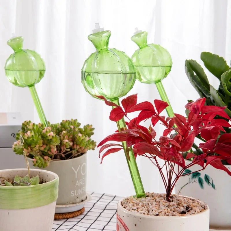Cactus Self-Watering Bulbs – Automatic Plant Watering Spikes 2pc Plant Watering Spikes Babs