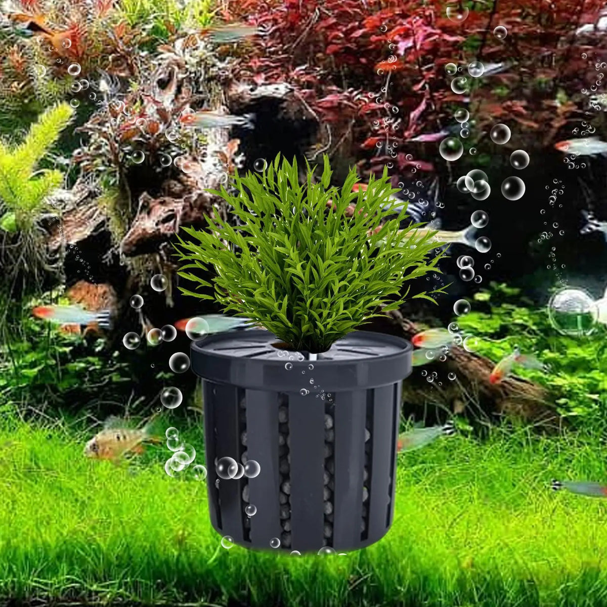 4-Pack Aquarium Net Cup Planter Baskets for Fish Tanks Aquarium Planter Basket Babs