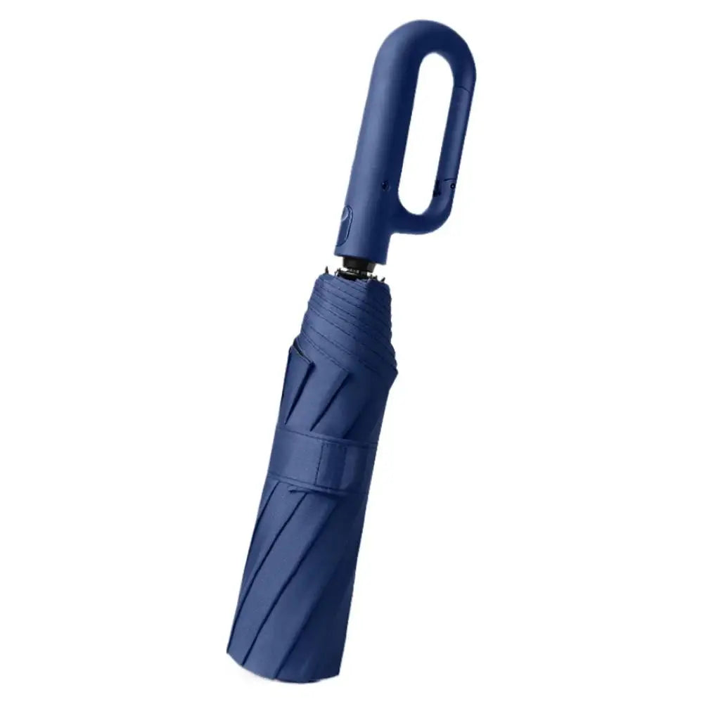 10-Rib Auto Folding Umbrella – UPF 50+, Windproof, Compact Compact Folding Umbrella Babs A
