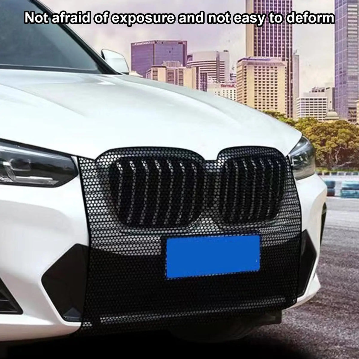 Car Radiator Mesh Net – Anti-Insect & Debris Grille Guard Car Radiator Mesh Guard Babs