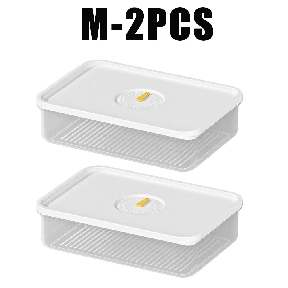 Lunch Meat & Cheese Keeper Container – Fridge Organizer Box Food Storage Container Babs M-2PCS
