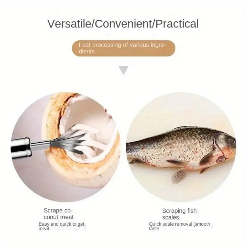 Stainless Steel Coconut Meat Scraper & Fish Scale Planer Coconut Scraper Tool Babs