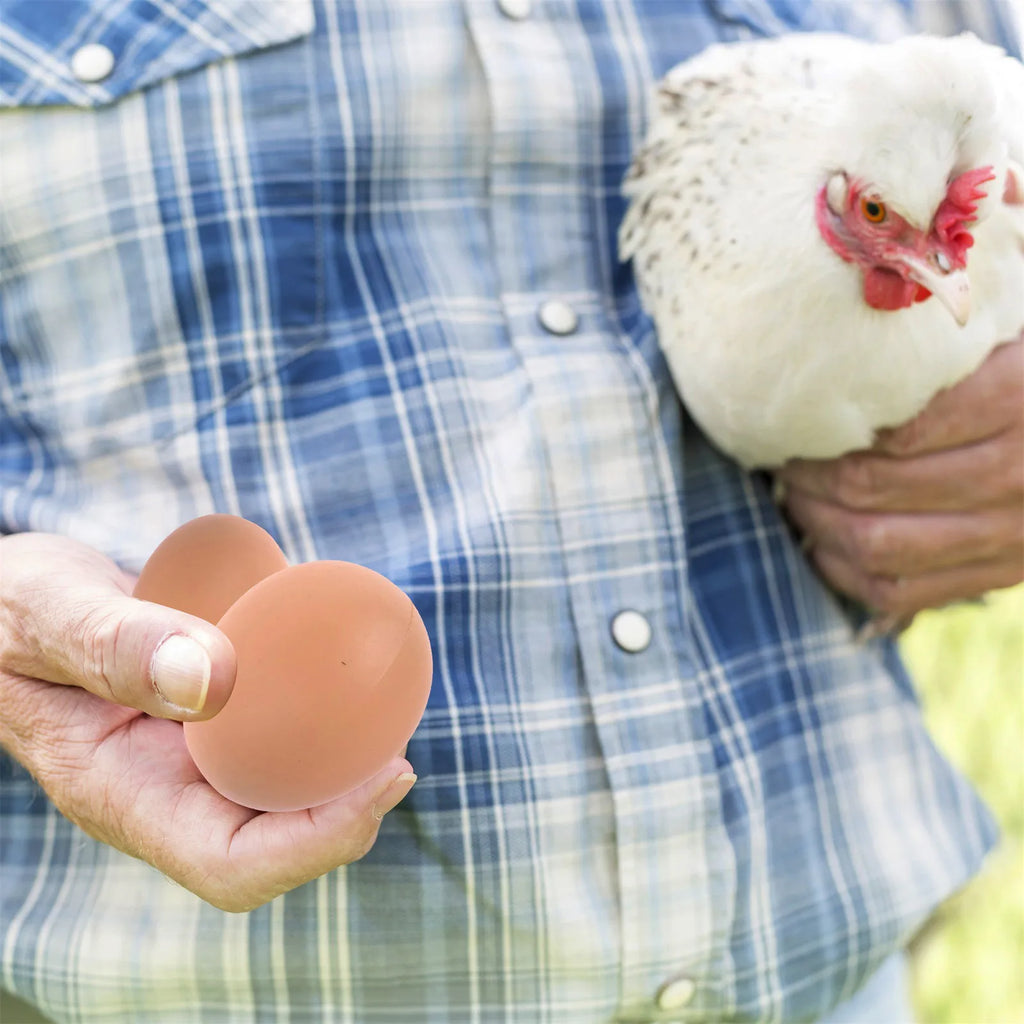 Fake Nesting Eggs for Chickens – Plastic Nest Training Eggs 6/12 Pack Poultry Nesting Eggs Babs