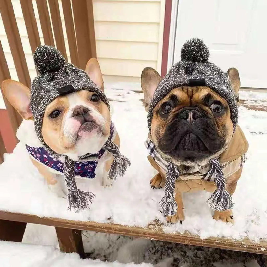 Winter Windproof Knit Dog Hat – French Bulldog & Chihuahua Dog Winter Hat Babs