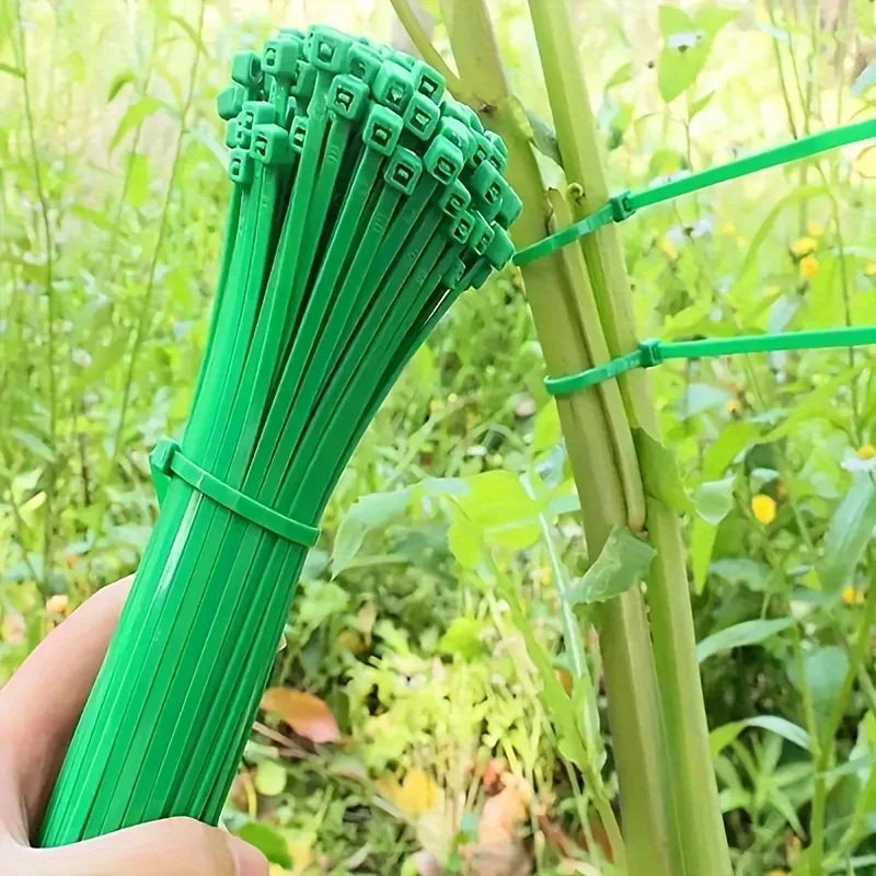 100pcs Nylon Self-Locking Garden Zip Ties – Plant Support Garden Plant Ties Babs