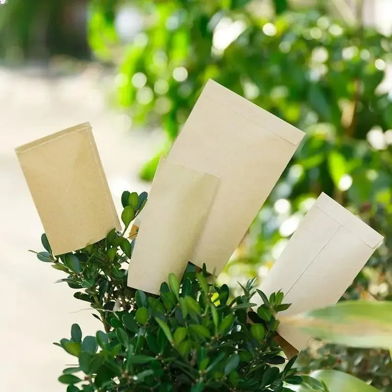 100Pcs Kraft Paper Seed Bags 6x10cm Eco Envelope Pouches Seed Storage Bags Babs
