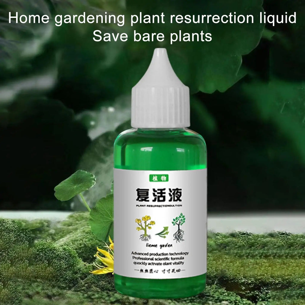 50ml Seaweed Organic Liquid Fertilizer – Plant Nutrient Solution Liquid Plant Fertilizer Babs