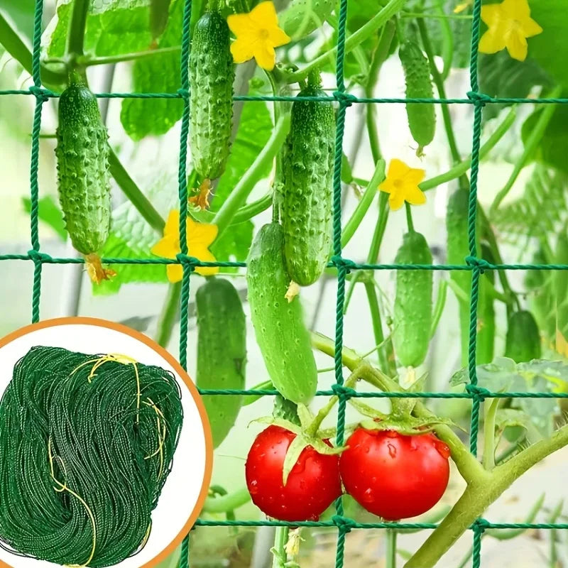 Heavy-Duty Garden Trellis Netting for Climbing Plants Garden Trellis Netting Babs