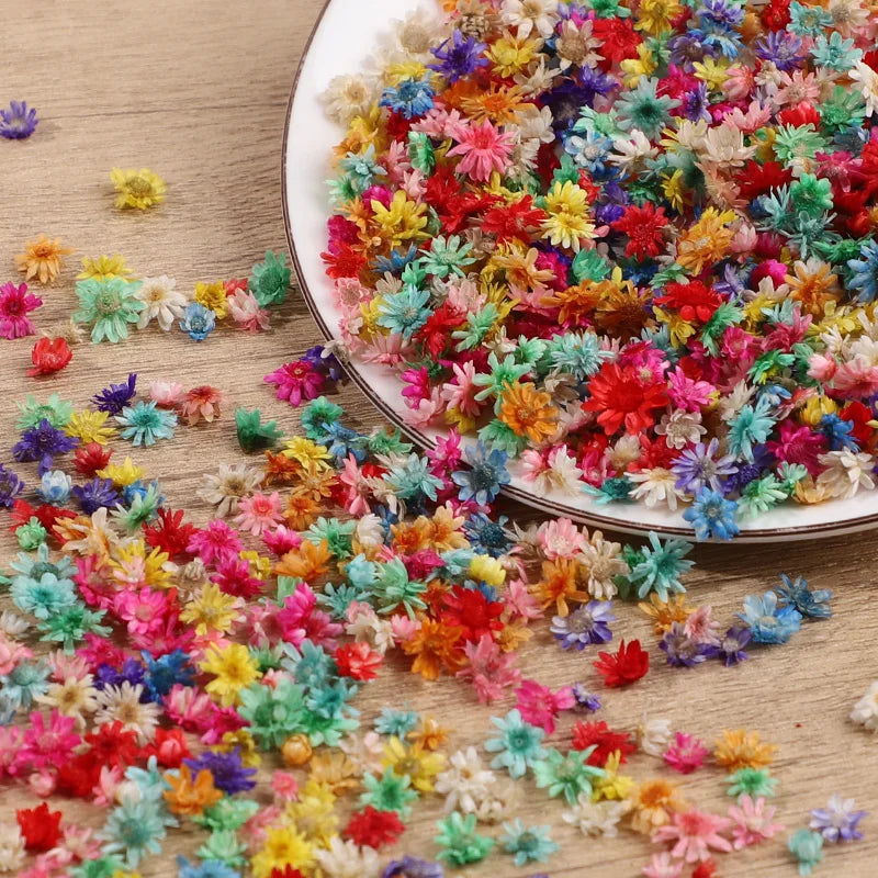 Dried Pressed Flowers 140 Heads – Resin, Nail Art & DIY Crafts Dried Pressed Flowers Babs