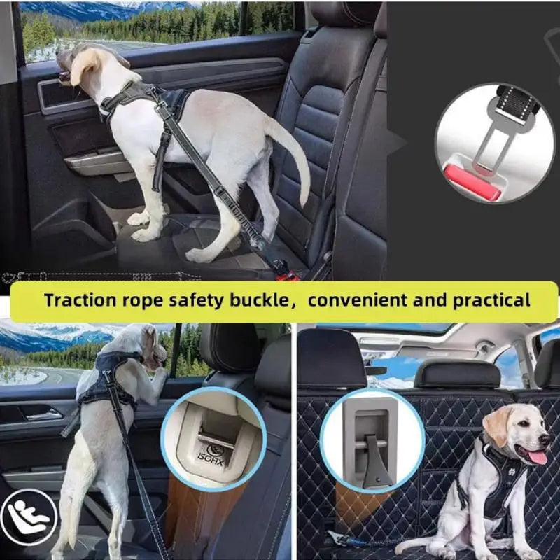 2-Pack Pet Seat Belt Clip & Buckle Lock for Dogs & Cats Pet Seat Belt Clip Babs
