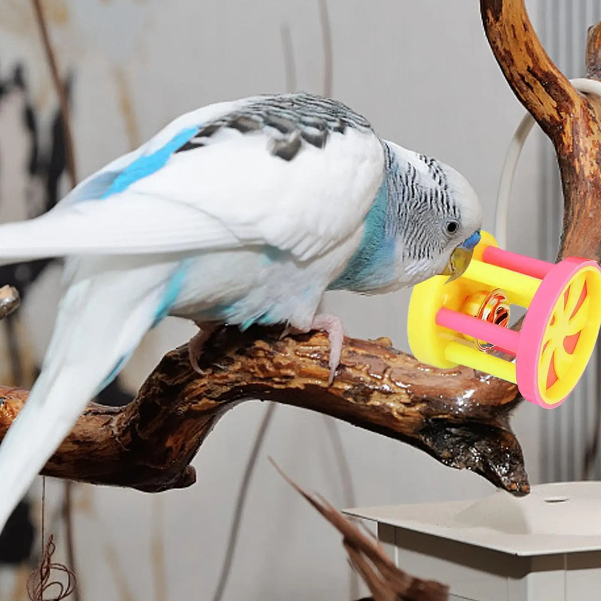 Bird Chew Toy Balls for Parrots, Parakeets & Budgies w/ Bell Bird Cage Toy Babs