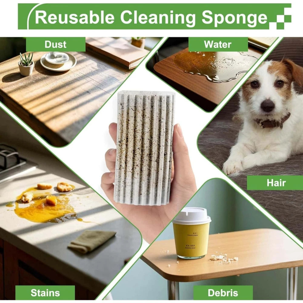 PVA Damp Dusting Sponge – Blinds, Glass & Baseboards Cleaning Sponge Babs