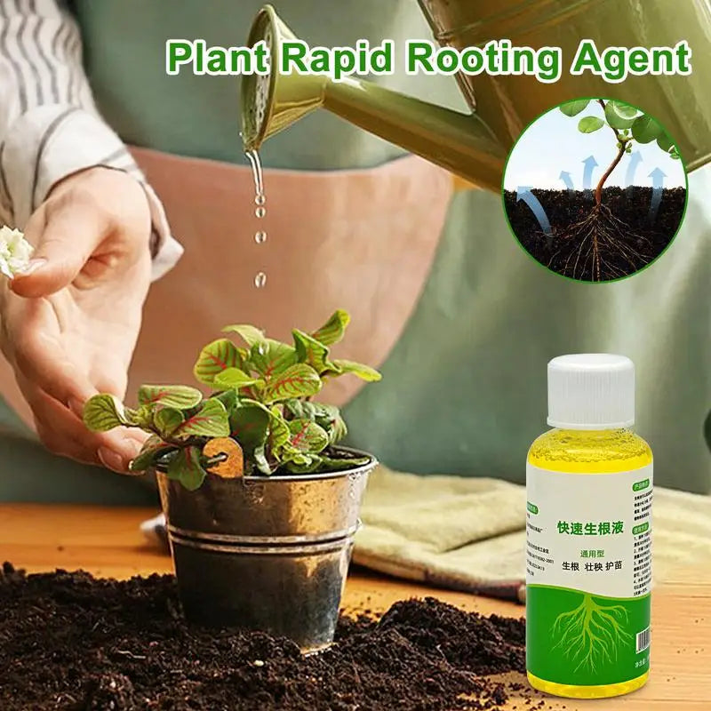 Liquid Root Booster for Plant Cuttings & Root Stimulator Liquid Rooting Hormone Babs