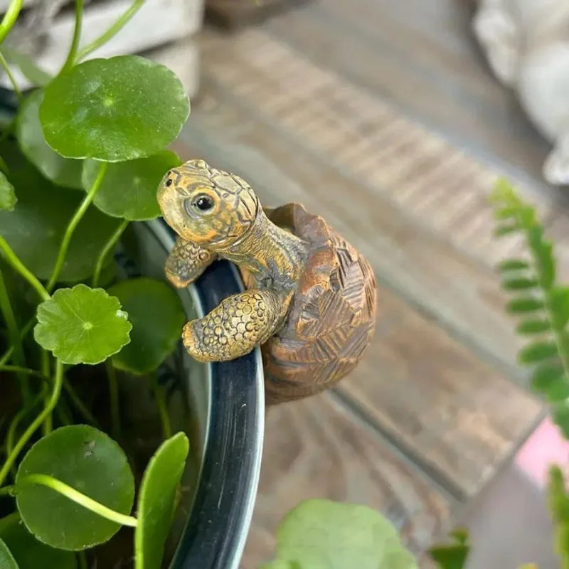 Turtle Hanging Ornament – Flower Pot & Garden Decor Garden Ornament Babs