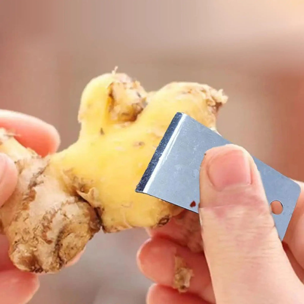 Manual Stainless Steel Peeler for Ginger, Garlic & Veggies Vegetable Peeler Babs