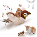 Interactive Electric Bird Cat Toy with Catnip | USB Rechargeable Interactive Cat Toy Babs Sparrow