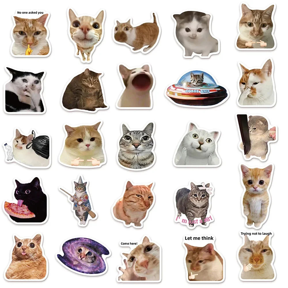 50/100PCS Cat Meme Stickers for Water Bottles & Skateboards DIY Sticker Pack Babs
