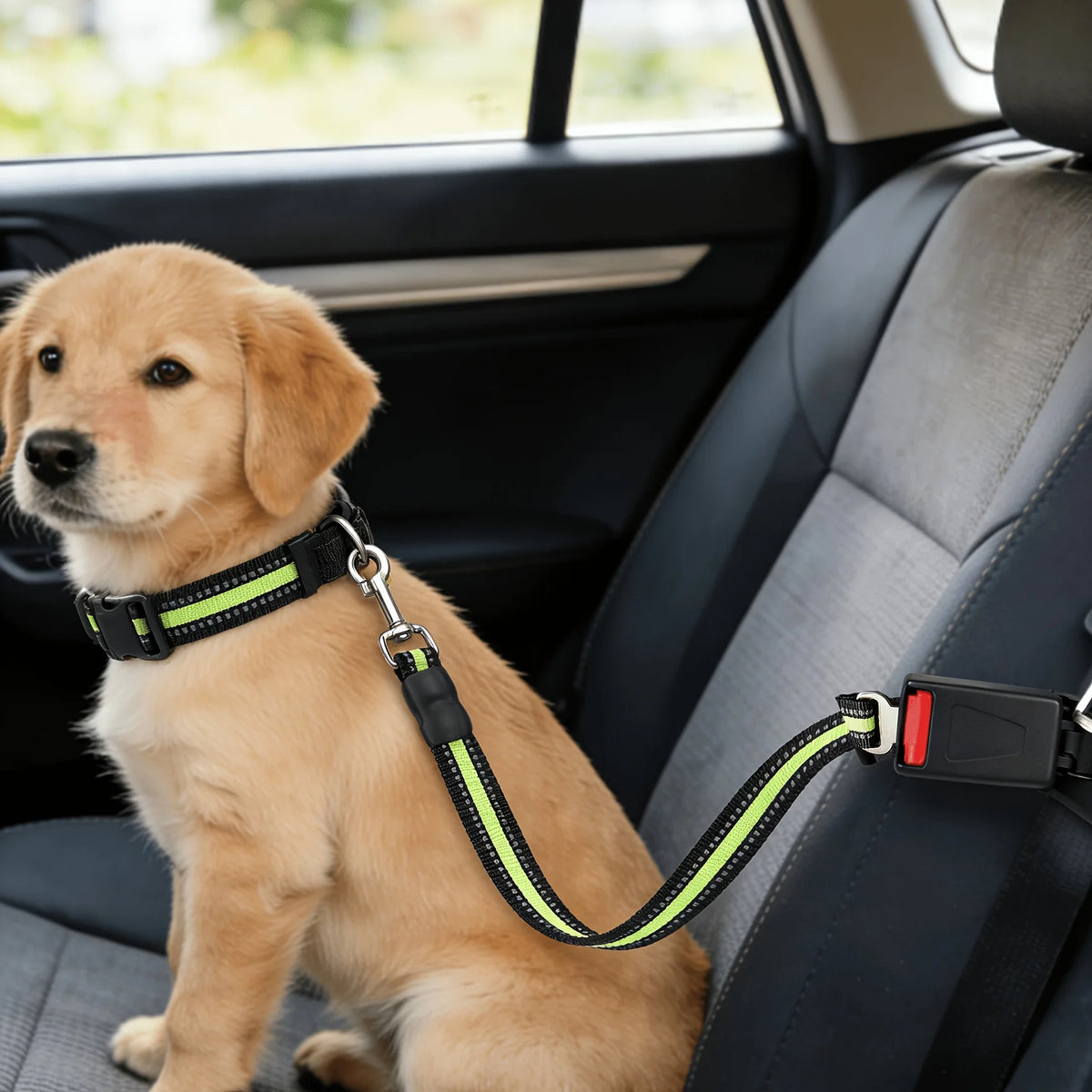 Adjustable Dog Car Seat Belt – Harness & Collar, All Dog Sizes Dog Car Seat Belt Babs