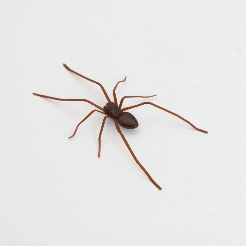Halloween Spider Fridge Magnets – Fun Holiday Refrigerator Decor Holiday Fridge Magnet Babs