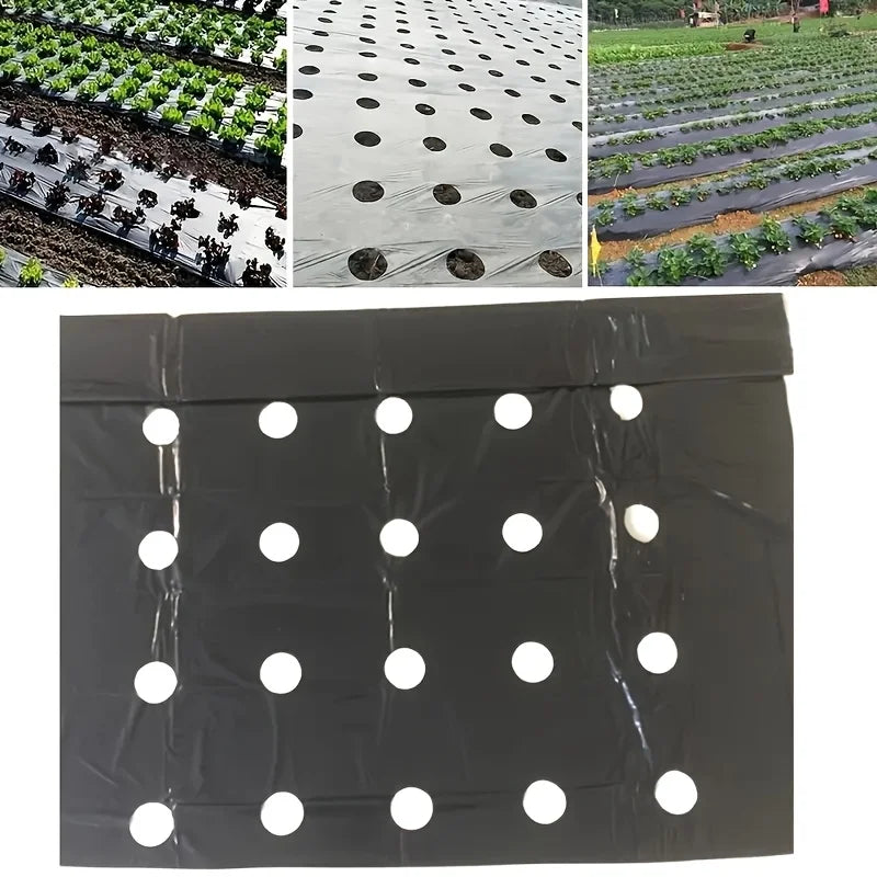 Garden Weed Control Barrier Film with Planting Holes | PE Mulch Garden Mulch Film Babs