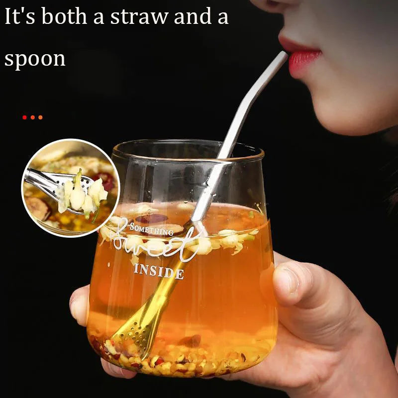 Stainless Steel Yerba Mate Bombilla – Washable Gourd Filter Straw Mate Bombilla Filter Babs