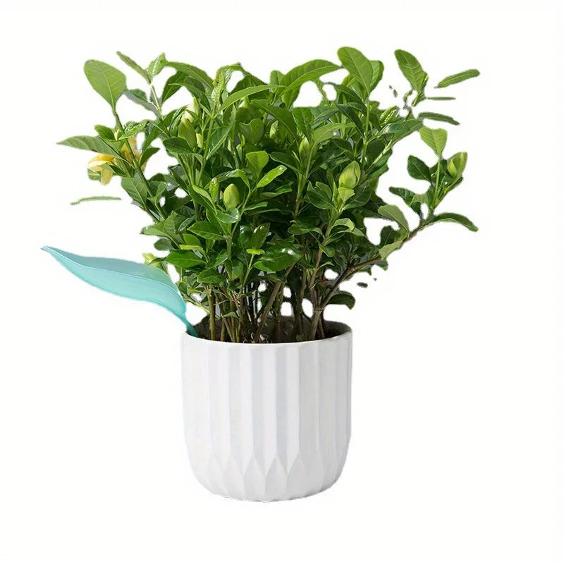 Plant Watering Funnel – Root Soaker & Fertilizer Diverter Plant Watering Funnel Babs