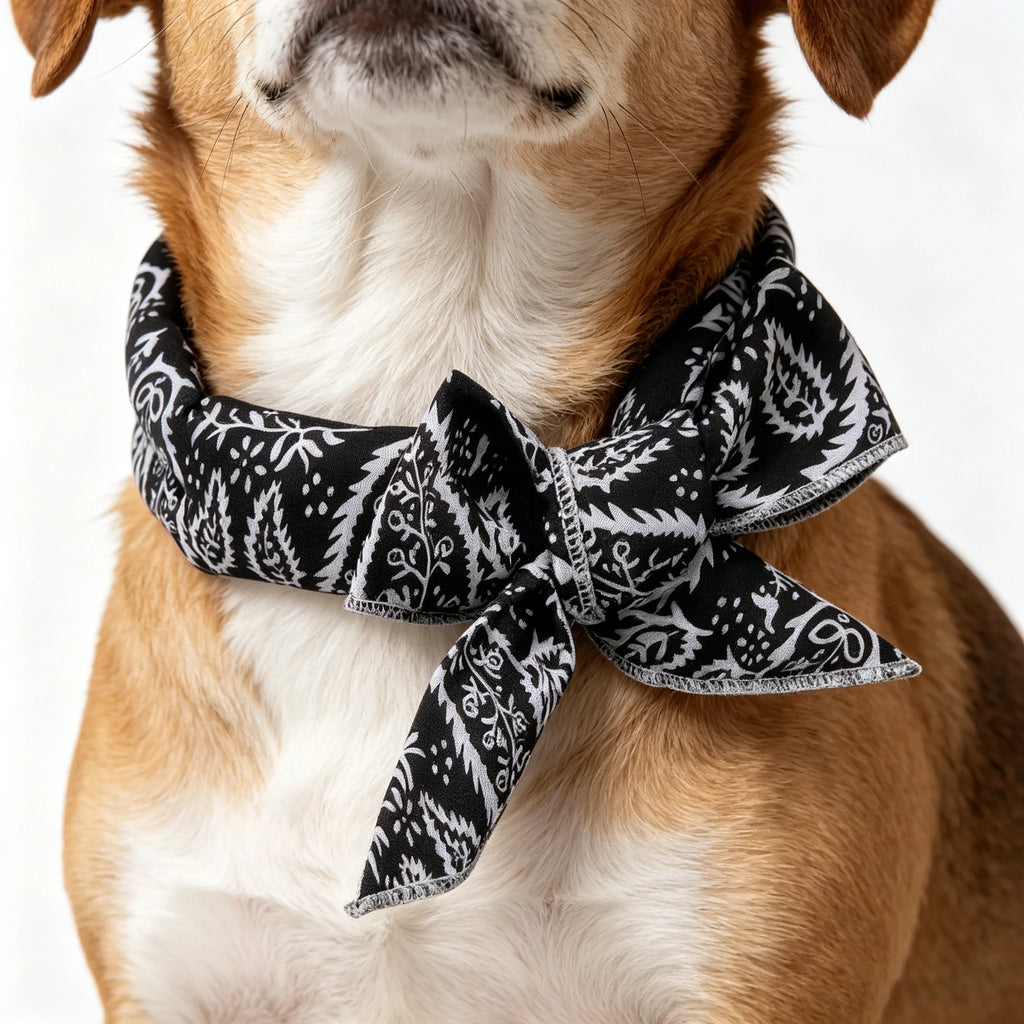 Pet Cooling Ice Collar Bandana for Cats & Dogs | Summer Pet Cooling Collar Babs Black 3PCS