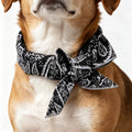 Pet Cooling Ice Collar Bandana for Cats & Dogs | Summer Pet Cooling Collar Babs Black 3PCS