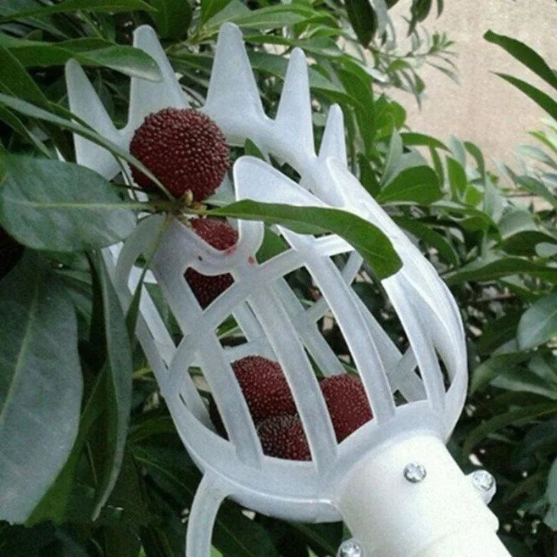Plastic Fruit Picker Head – Garden & Orchard Harvest Tool Fruit Picker Tool Babs White