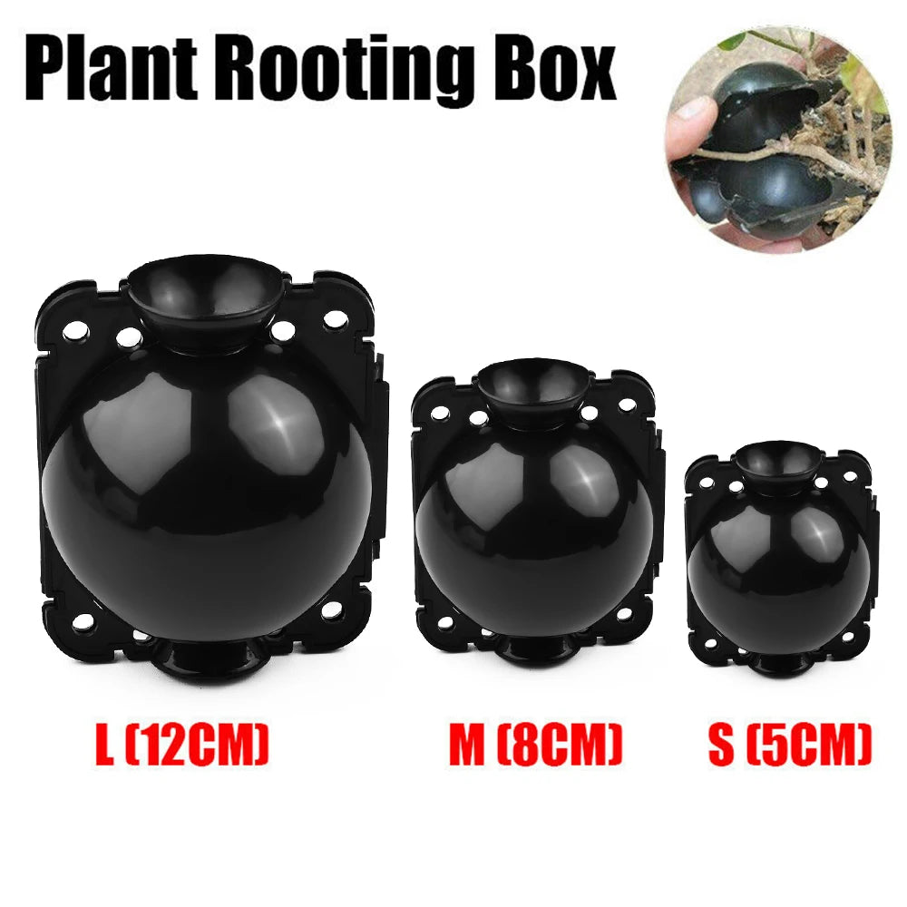 6pcs Plant Rooting Balls – Air Layering Propagation Pods S/M/L Plant Propagation Pods Babs