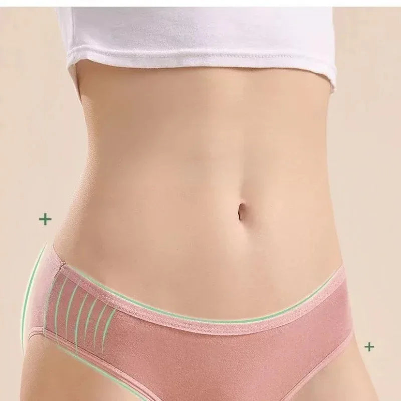 5-Pack Women's Disposable Cotton Briefs | Travel & Postpartum Disposable Briefs Babs