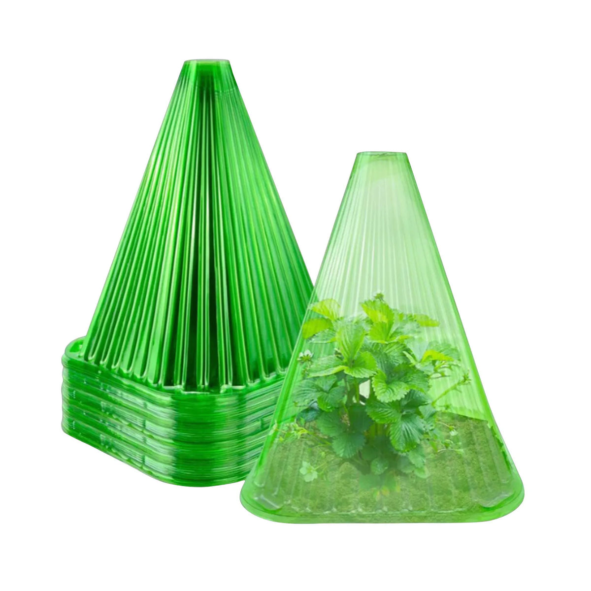 Plant Cloche Dome Covers 10-30pcs – Protect from Frost & Birds Plant Cloche Cover Babs 10PCS One Size