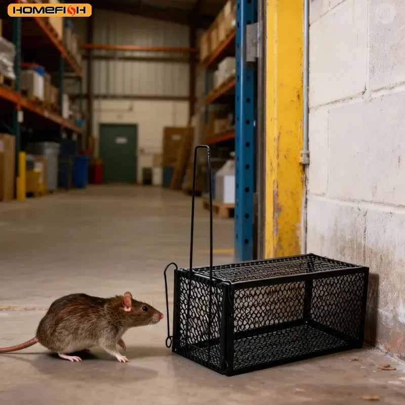 Humane Self-Locking Metal Mouse Trap – Reusable, Indoor & Outdoor Humane Mouse Trap Babs