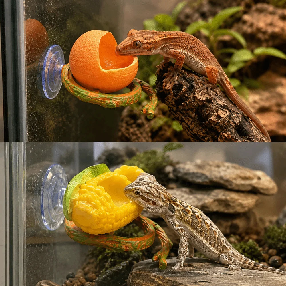 Resin Lizard Feeder Bowl with Suction Cup | Reptile Dish Reptile Feeding Bowl Babs