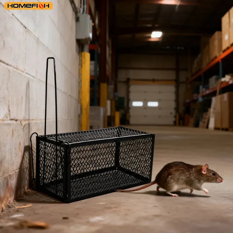 Humane Self-Locking Metal Mouse Trap – Reusable & Chemical-Free Humane Mouse Trap Babs
