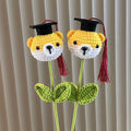 Graduation Knitted Flower Bouquet with Doctoral Hat | Gift & Decor Knitted Flower Bouquet Babs Dog 3PCS