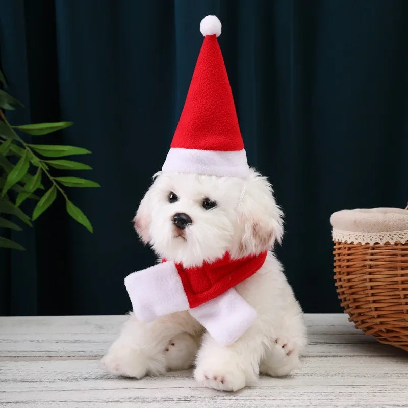 Christmas Santa Hat & Scarf Set for Cats & Small Dogs Pet Costume Set Babs