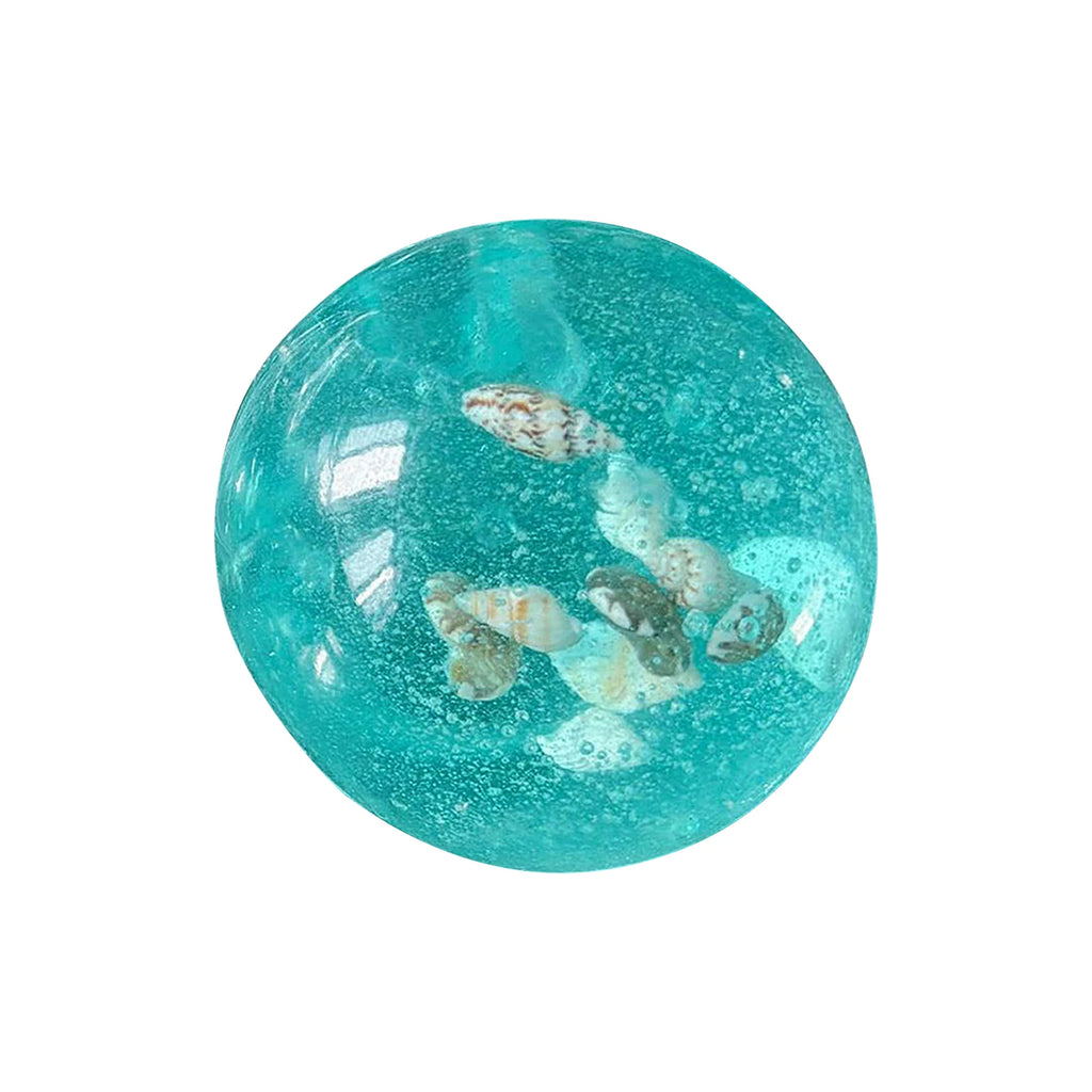 Seashell Squishy Fidget Toy – Teal Transparent Squeeze Sensory Squishy Fidget Toy Babs