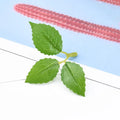 50/100pcs Artificial Silk Rose Leaves – Wedding & Home Décor Artificial Silk Leaves Babs leaf 50 pcs
