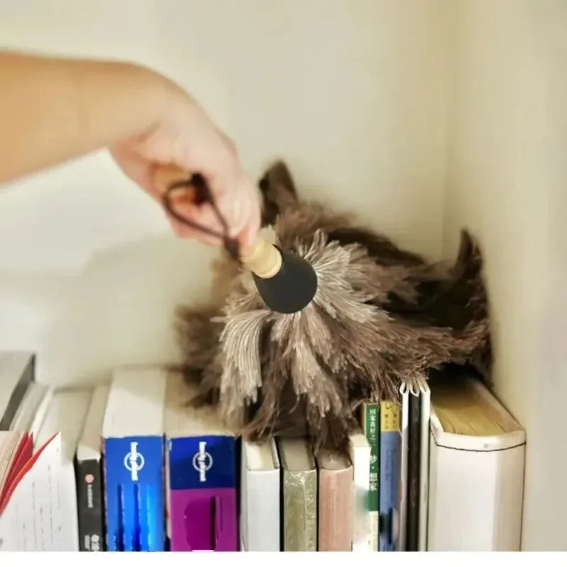 Ostrich Feather Duster with Wooden Handle – Anti-Static Feather Duster Babs