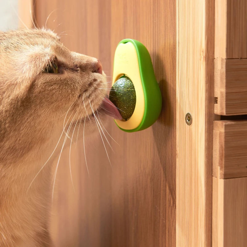 Natural Catnip Wall-Stick Rotatable Ball Toy for Cats – Green Cat Catnip Toy Babs